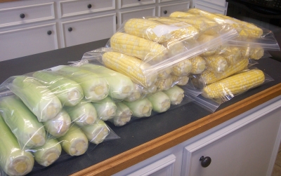 corn ready for freezer