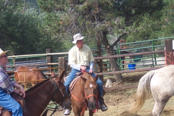 don on horse