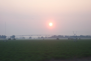 sunrise with pivot 