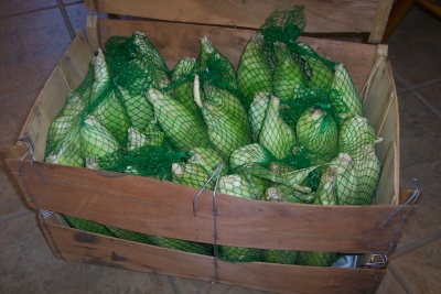 crate of corn