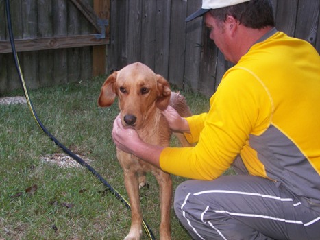 Beau Getting his First Bath