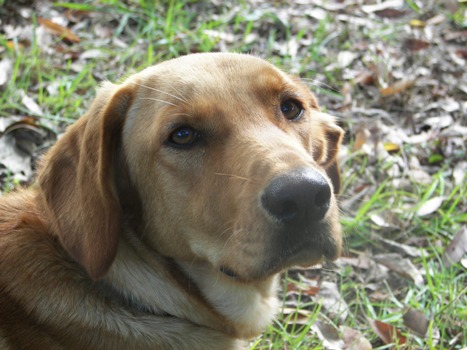 Beau Up Close