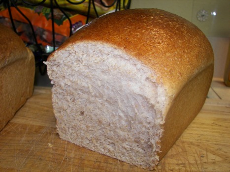 Sourdough Loaves