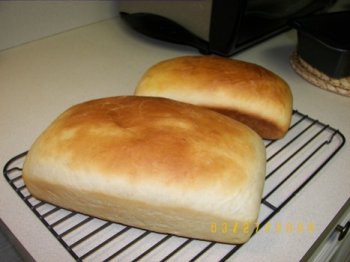 First Attempt at Sourdough Bread!