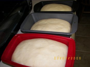 After rising, ready to go in the oven