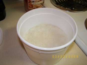 Bread Starter bubbling