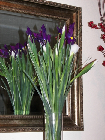 Irises from my sweetheart :)