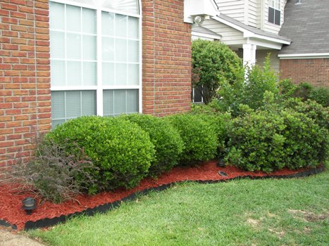 Red Cypress Mulch