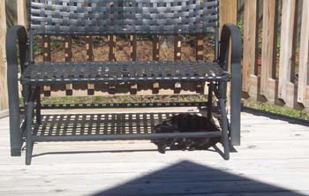Cat Under Glider