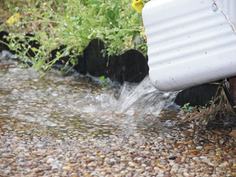 Down the Gutter Downspout