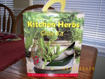 Herb Starter Kit