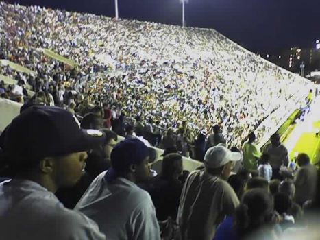 The crowd at the game