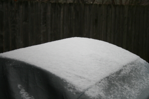 Snow on the grill