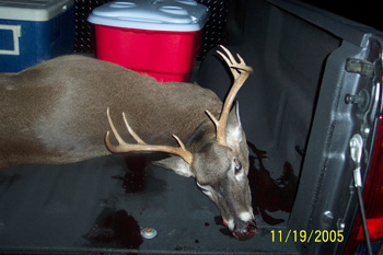 9 Point Buck