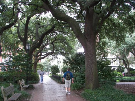 Park in the Historic District