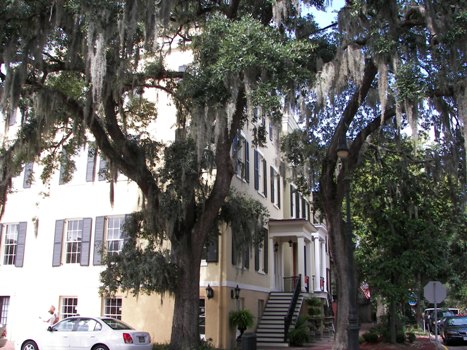 Street in the Historic District